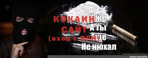 мдпв Тайга