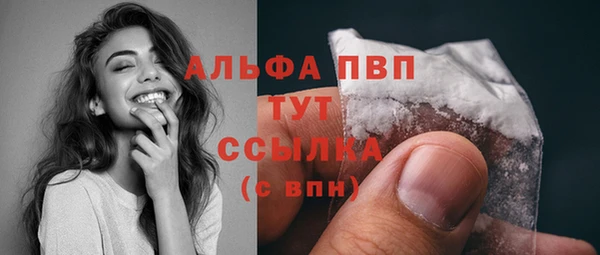 мдпв Тайга