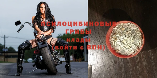 Альфа ПВП Михайловка