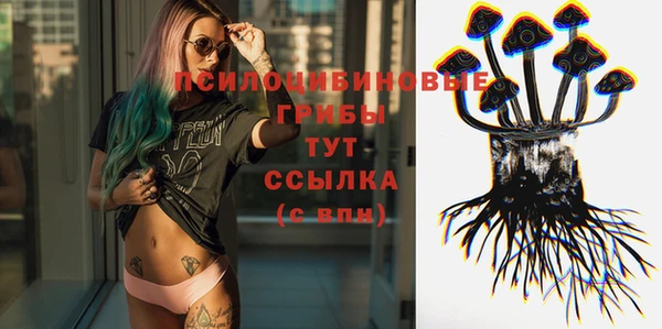 эйфоретик Богородицк