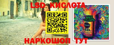 стафф Дубна