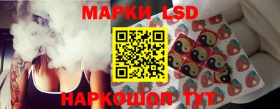 стафф Дубна