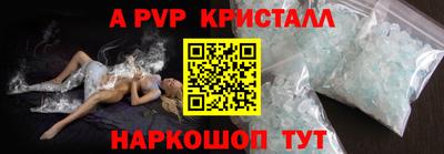 стафф Дубна