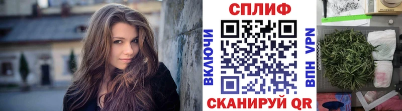 Бошки Шишки план  Топки 